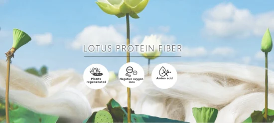 Функциональная протеиновая пряжа Lotus Fiber/хлопчатобумажная пряжа с аминокислотами для вязания ткани